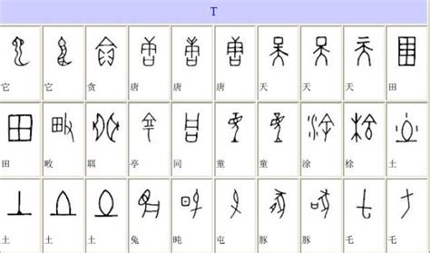 汉字的演变过程五个阶段（甲骨、金、小篆、隶、楷、草、行） - 神奇评测