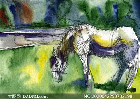 猫有趣的马在草地上行走方形微型高清图片下载-正版图片307572029-摄图网