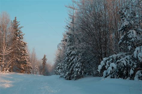 冰雪雾凇冬天雪景高清图片下载-正版图片500749855-摄图网