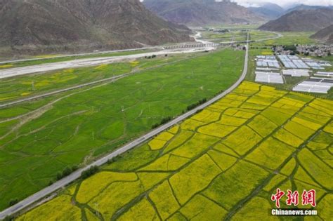 西藏山南：8125名高海拔易地扶贫搬迁贫困群众乔迁新居-人民图片网