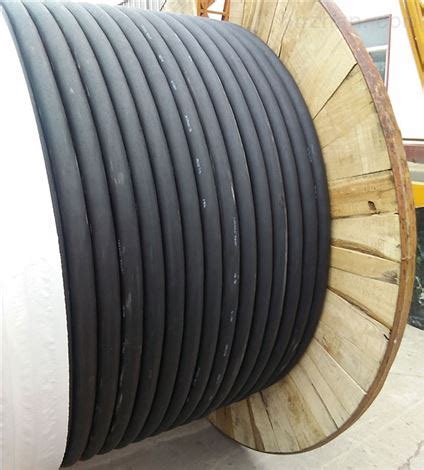 KVVP22控制电缆12*2.5小猫铠装电缆线750V-天津市电缆总厂橡塑电缆厂