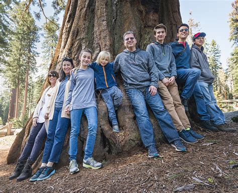 美国加利福尼亚州塞科公园大树周围的一家人高清图片下载-正版图片501871773-摄图网