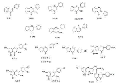 黄酮类化合物的构效关系研究进展