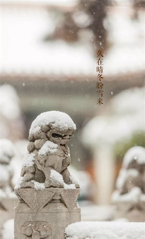 今日小雪：中国人的年味儿从今天开始了｜节气_文学爱好者