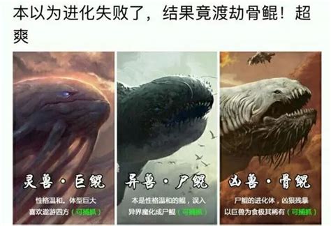 骨鲲图片