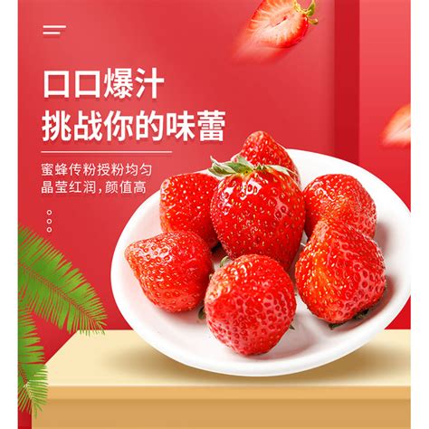 又降价咯！巨甜「丹东红颜草莓」，草莓控冲！|草莓|丹东_新浪新闻
