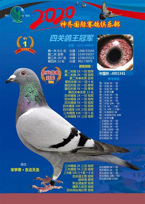22春蓉城杯第21名-50名照片_获奖赛鸽_成都市信鸽协会-官网
