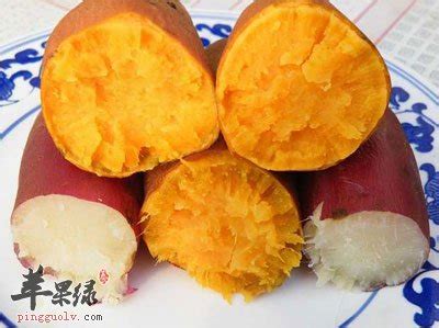 红薯的营养价值_红薯的功效与作用_红薯粉怎么吃_苹果绿