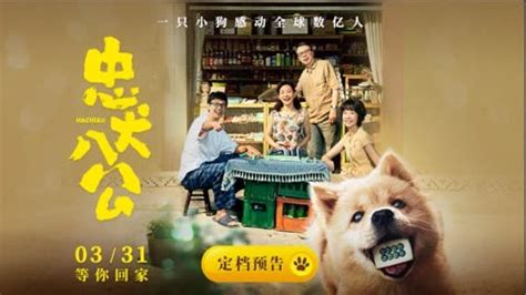 电影《忠犬八公》定档3月31日，冯小刚、陈冲领衔主演-新闻中心-南海网