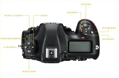 新手进阶班 相机的对焦功能究竟怎么用 - 智能摄像 - 智电网