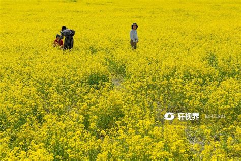 温江北林绿道 图片 | 轩视界