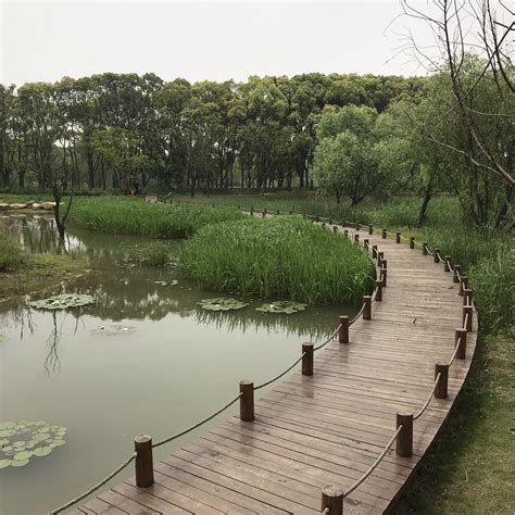 湿地资源面积全国第一！青海19处国家湿地公园美景如画（附名单）