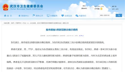武汉公布新增确诊病例轨迹-大河新闻