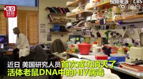 基因编辑清除HIV怎么回事 目前全球有3700万HIV病毒携带者|基因|编辑-社会资讯-川北在线