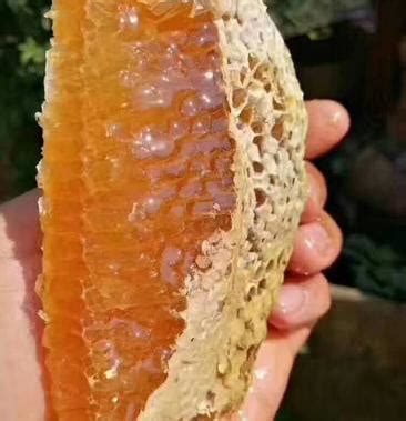 天然正宗野生蜂蜜 深山土蜂蜜农家自产纯正百花蜜正品成熟原蜜