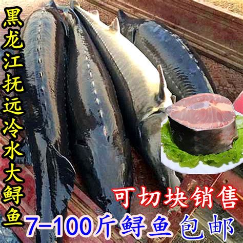 黑龙江特产鲟鱼七里 鳇鱼 鲟鳇鱼整条8-80斤新鲜鲜活鱼冷冻发货-淘宝网