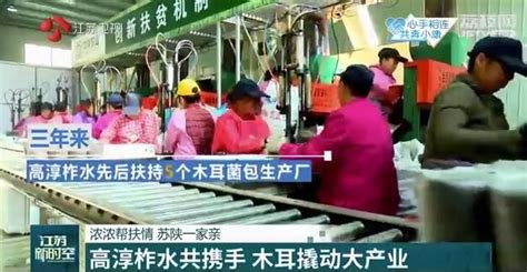 红岩寺镇木耳产业带动农民就业增收| 柞水县人民政府