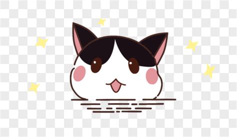猫猫头图片