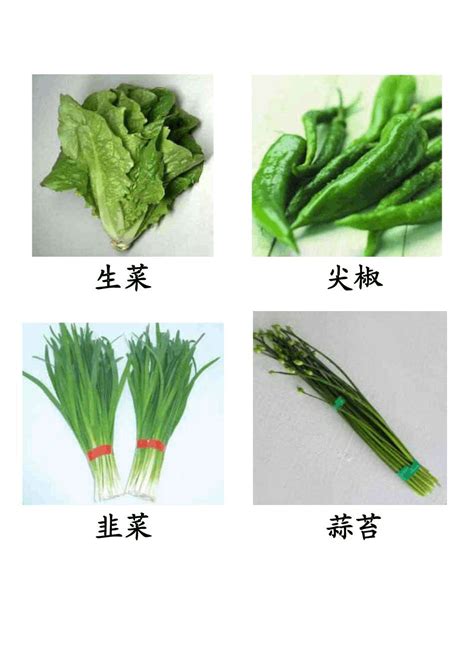 蔬菜图片大全(附名称)_word文档在线阅读与下载_免费文档