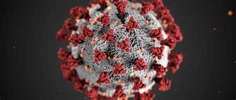 美国NIH将启动“新冠病毒大流行血清学调查”，拟采集万人血液样本摸清大流行的真实程度__凤凰网