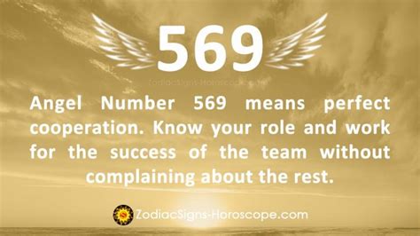 Angel Number 569 Meaning: Perfect Cooperation | 569 Angel Number
