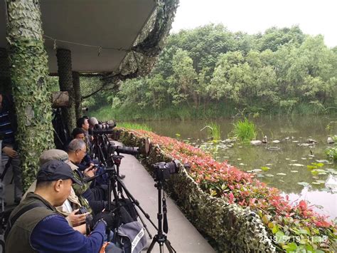 2019江湾湿地公园_旅游攻略_门票_地址_游记点评,上海旅游景点推荐 - 去哪儿攻略社区