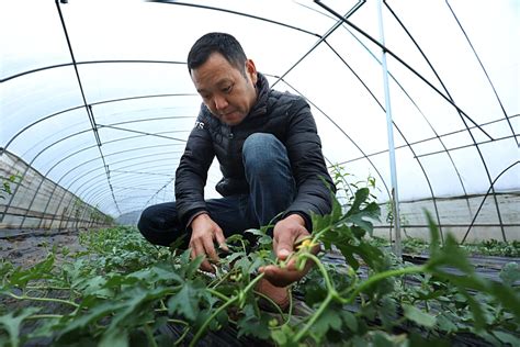 【部门解读】《马鞍山市城市更新行动实施意见》_城市更新 - 前瞻产业研究院