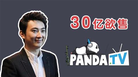 熊猫直播否认王思聪退出 熊猫直播COO回应一切_手机新浪网