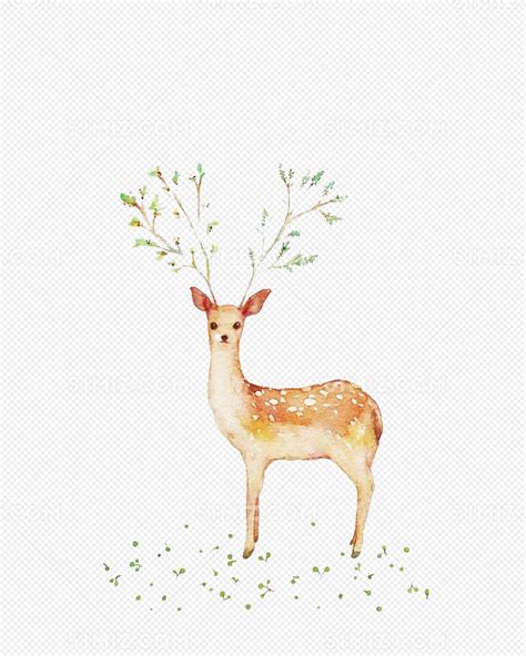 介绍小鹿的一段话,描写小鹿的句子,小鹿写一段话50字_大山谷图库