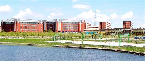 哈尔滨海关监管创新 助力最北自贸试验区高质量发展-东北网黑龙江-东北网