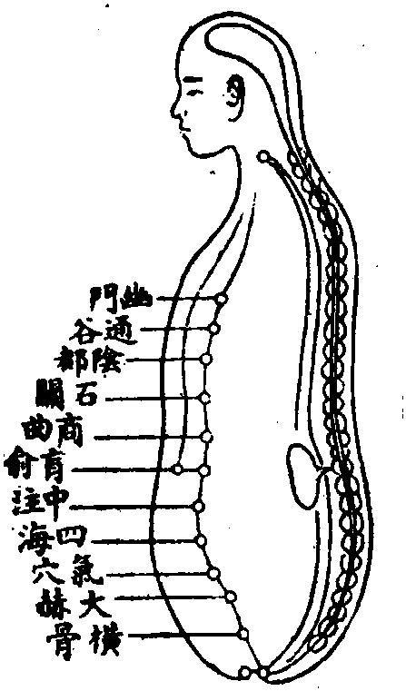 冲脉的准确位置图图片