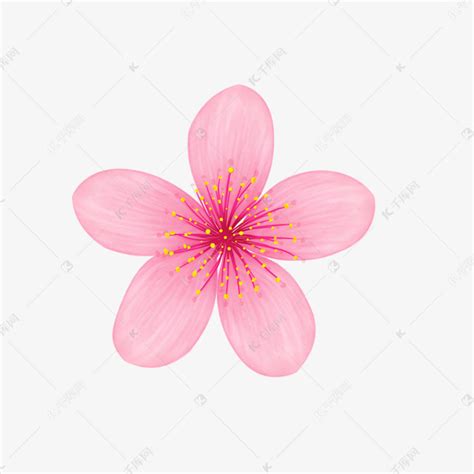 粉色樱花花瓣插画素材图片免费下载-千库网
