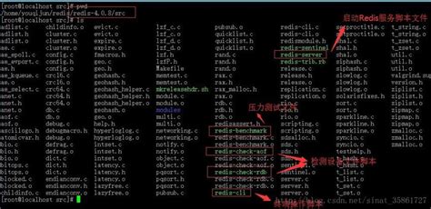 虚拟机linux安装redis实现过程解析 / 张生荣