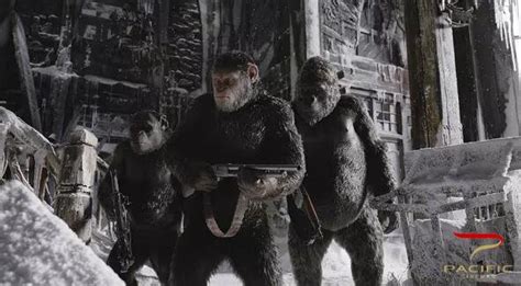 《猩球崛起3》官方剧情梗概曝光 猿族遭重创伤亡惨重_手机凤凰网