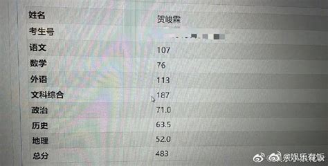 网曝贺峻霖被中传播音主持专业录取 高考成绩取得483分_新浪图片