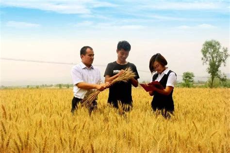 新三农方略 - 北京国梦中和方略科技研究院