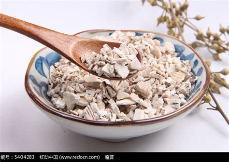 瓦楞子图片