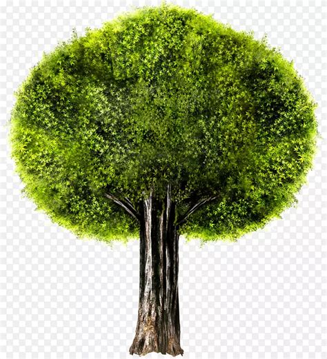 绿色草地上一颗茂盛的大树AI素材免费下载_红动中国