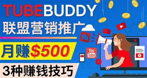 推广TubeBuddy联盟营销项目，完全免费的推广方法，轻松月赚500美元 - 高羽网创
