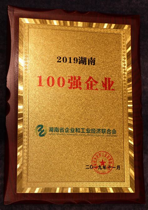 2020湖南企业100强名单发布_湖南民生网