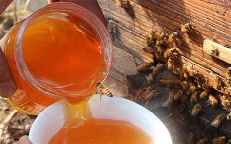 【图】蜂蜜面膜可以天天敷吗 这些美容配方你需要知道_蜂蜜面膜_伊秀美容网|yxlady.com