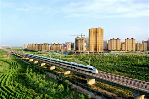 张掖市人民政府>> 《张掖市国家森林城市建设总体规划（2022-2031年）》通过专家评审