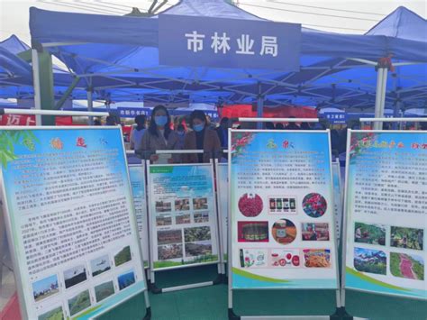 宝鸡市林业科技信息中心 积极参与2023年“科技之春”宣传月活动 _www.isenlin.cn
