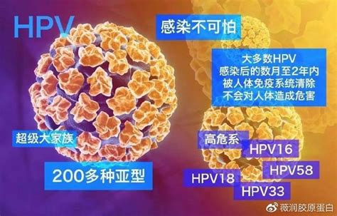 HPV病毒是如何进入孩子体内的？出现这种情况，家长尤其要注意！__小豆苗疫苗助手