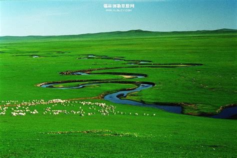 锡林郭勒盟《这里是草原》地区介绍（3） | 内蒙风物