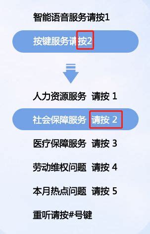 深圳社保局电话一览表，一招搞定社保业务-财小易