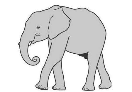 19 大象的耳朵（课件）(共15张PPT)-21世纪教育网