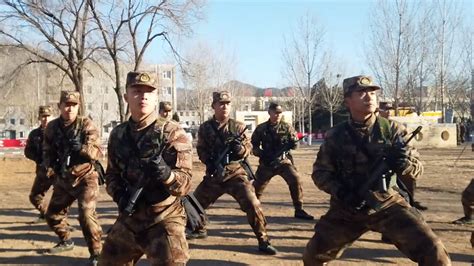 北京卫戍区警卫部队曝光_手机凤凰网