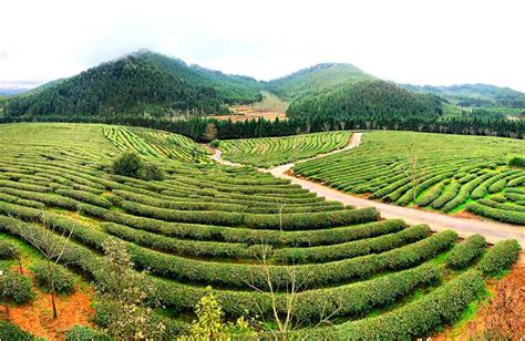 千年建州|聆听古建筑回响，回溯1800年的建瓯 - 国内 - 东南网旅游频道