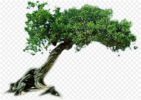 立体创意生态环保图标PNG图片素材下载_图片编号7530467-PNG素材网